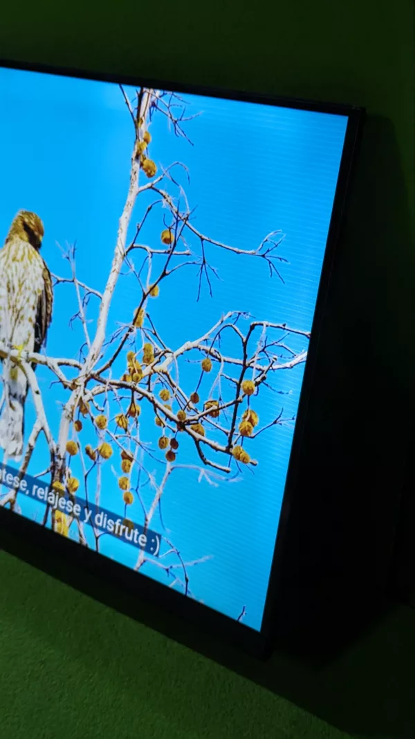 Hisense 32A4BG (32") Smart TV Full HD - Imagen 11