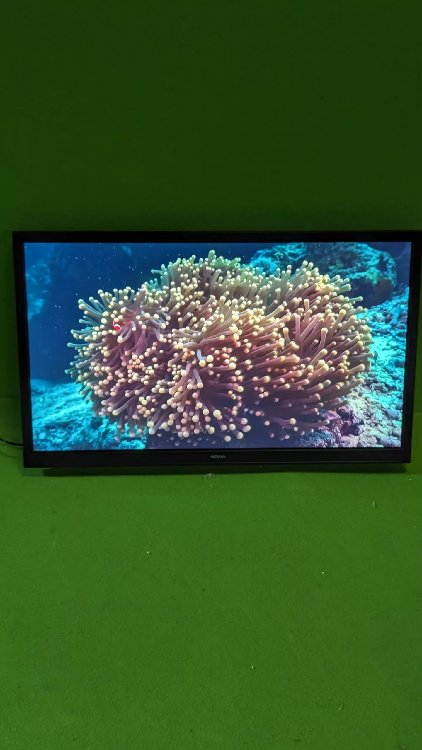 Nokia 24 Pulgadas (60cm) HD LED Televisor - Imagen 2