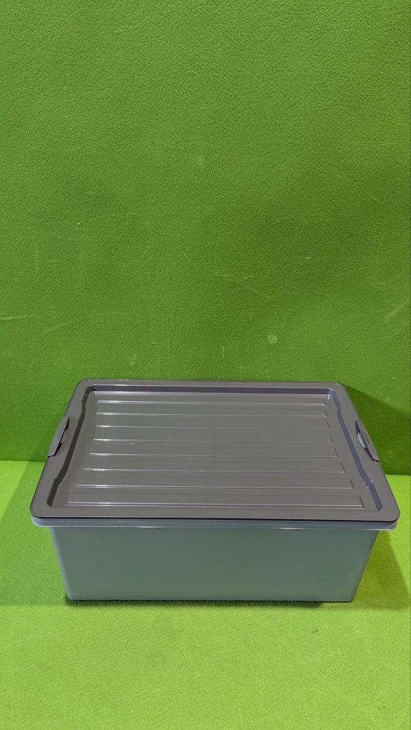 Rotho Compact Caja de almacenaje 38 L con tapa - Imagen 3