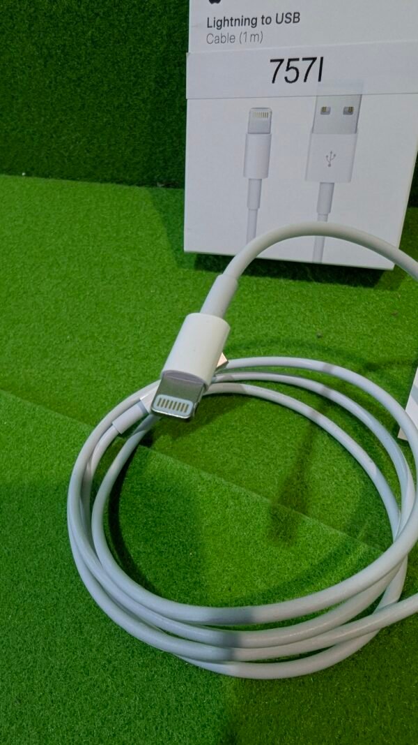 Apple Cable de USB-C a conector Lightning (1 m) ​​​​​​​ - Imagen 4