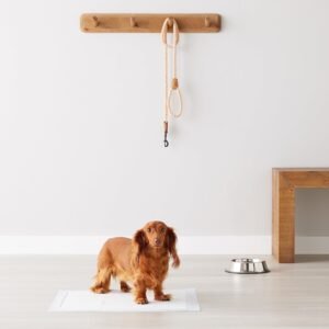 Almohadillas de adiestramiento de Perros y Cachorros 150 unds