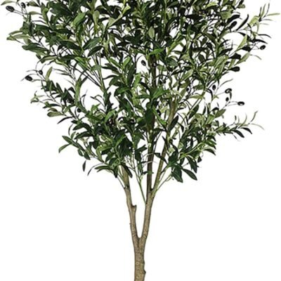 Olivo Falso en Maceta de 180 cm de Alto con Frutos de Aceitunas de plástico