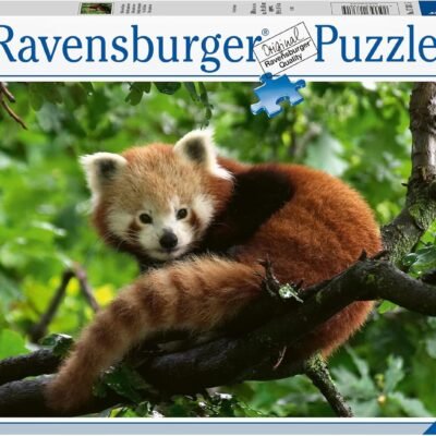 Ravensburger – Puzzle: Panda Rojo 500 piezas
