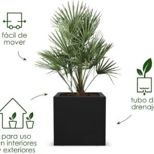 Elho Vivo Next Square 40 - Jardinera por Interior y Exterior