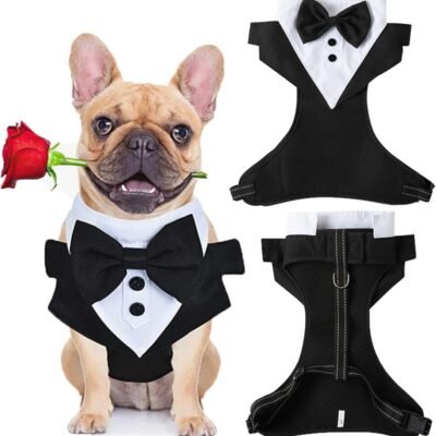Disfraz para mascotas talla M