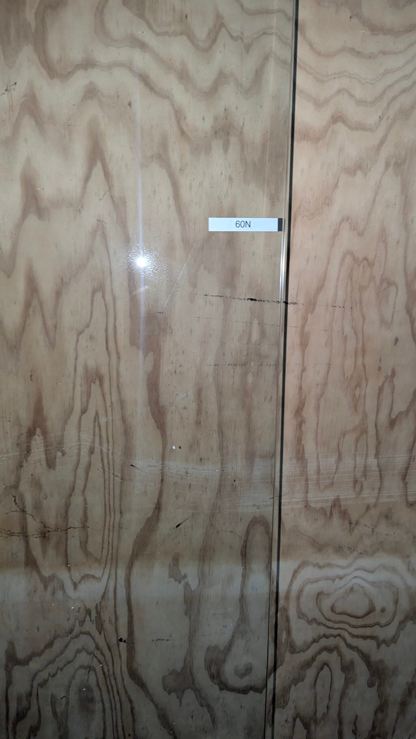 Mampara de ducha frontal panel fijo 195 x 98 cm - Imagen 4