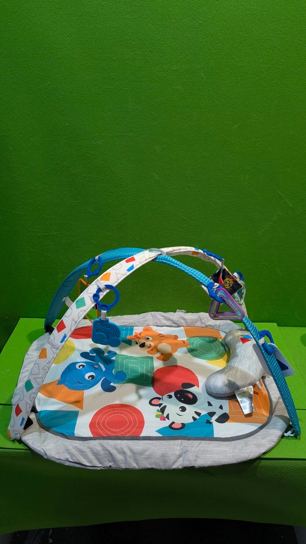 Baby Einstein, Gimansio de Actividades para bebés 