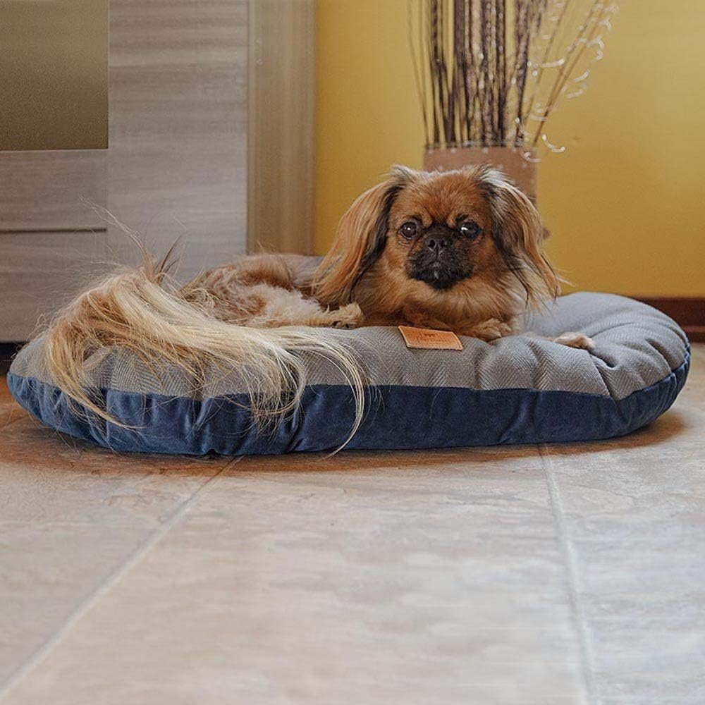 Ferplast Cojín Para Perros Y Gatos Stuart 55 x 36 cm