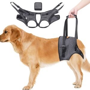 Arnés de Soporte Ajustable para las Patas Traseras